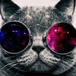 Tyler briggs - @tylerbriggs5656 - Instagram