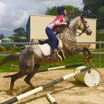 Tyler Broadbent - @tylers_horse_photography - Instagram