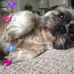 Tyler Brodie - Facebook