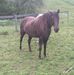 Tyler Buckler - Facebook