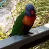 tyler.bullock - @tyler.bullock - TikTok
