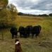 Tyler Burk - Facebook