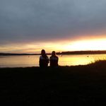 Tyler Busch - @tylerbusch38 - Instagram