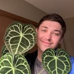 Tyler Busch - @tylers_jungle - Instagram