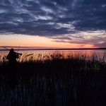 Tyler Cartwright - @tylercartwright1 - Instagram