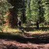 tylercartwright65 - @tylercartwright65 - TikTok
