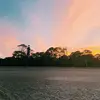 Tyler castle - @tyler.castle - TikTok