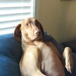 tyler chamberlain - @tylecham1 - Instagram