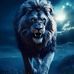 Champion De L'or - Facebook