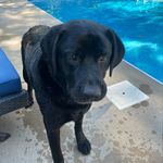 Tyler Clauser - @tyler__clauser - Instagram