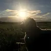 Tyler C - @tyler_clyde - TikTok