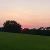 tylercoles442 - @tylercoles442 - TikTok