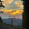 Tyler_cone - @tyler_cone8 - TikTok