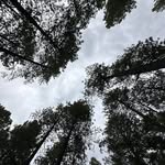 Tyler Conlin - @conlin_tyler - Instagram