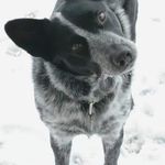 Tyler Cornett - @tyler.cornett.167 - Instagram