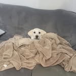 Tyler Corwin - @tylercorwin98 - Instagram