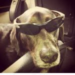 Taco Tyler Coryea - @t_y_l_e_r___coryea - Instagram