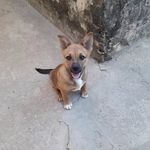 tyler costa - @tyler_costa1515 - Instagram