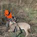 Tyler Coyle - Facebook