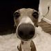 Tyler Coyle - Facebook