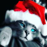 Tyler Cramer - @tyler.cramer.501 - Instagram