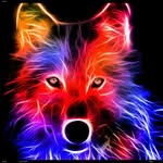 Tyler Crook - @tylerc570 - Instagram