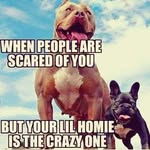 Tyler Crouse - @tylercrouse748 - Instagram
