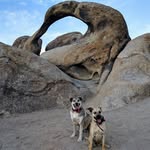 Tyler Crouse - @petsarethebestpeople - Instagram