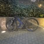Tyler Curran - @tylercurran170 - Instagram