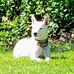 Tyler Custer - Facebook