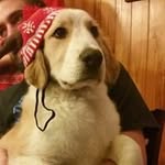 Tyler Cypher - @tylercee3 - Instagram