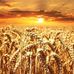 Tyler Daugherty - Facebook