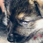Tyler Degraw - @degraw490 - Instagram