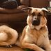 Tyler Degraw - Facebook