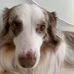 Tyler Degraw - Facebook