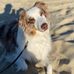Tyler Degraw - Facebook
