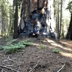 Tyler DeLong - @tyler_delong - Instagram
