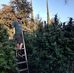 Tyler DeLong - Facebook