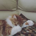 Tyler - @tyler_deluca_773 - Instagram