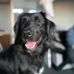 Tyler denton - @buddysjourney2020 - Instagram