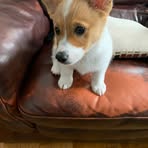 Tyler Depuy - Facebook