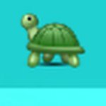 Tyler Devine 🐢🐢🐢🐢🐢🐢🐢 - @unpaidturtlesquad - Instagram
