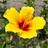 tyler dewey - @tyler.dewey12 - TikTok