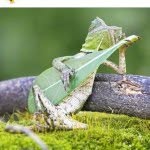 Tyler Didier - @tydidi84 - Instagram