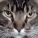 Tyler Didier - Facebook