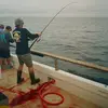 Tyler_Grosdider - @tyler_grosdidier - TikTok