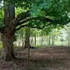 Tyler Rudolph - @tyler.rudolph8 - TikTok