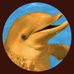 Tyler Dolphin - Facebook