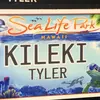 Tyler Dooley - @tyler..dooley - TikTok