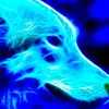 TylerDoty094 - @tylerdoty41 - TikTok